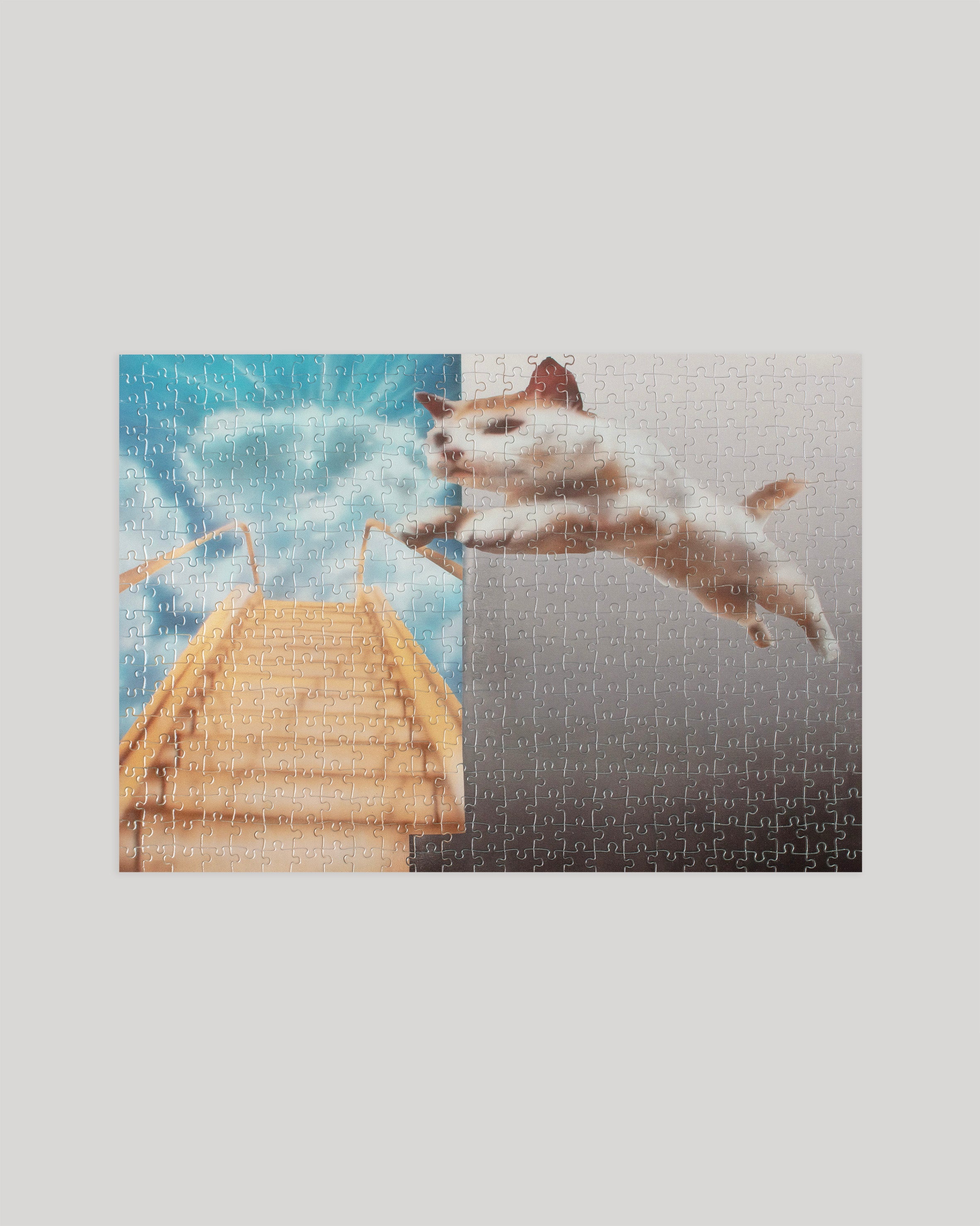 puzzle 'leap of faith' x anu jakobson